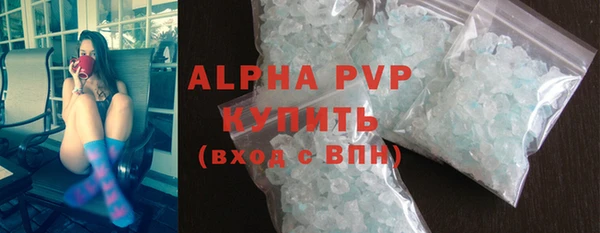 молекула духа Ладушкин