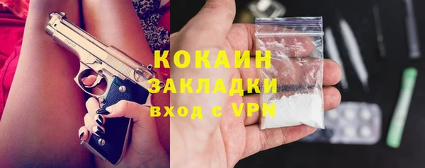 молекула духа Ладушкин