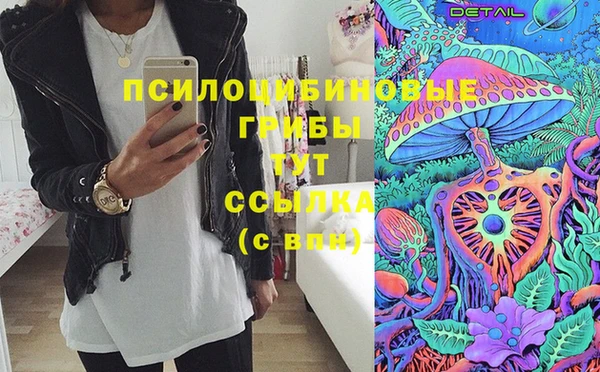 mdpv Лабытнанги