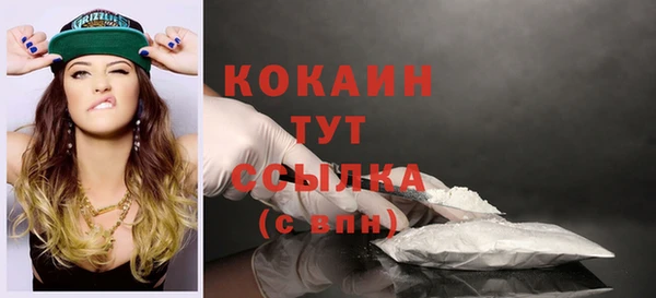 молекула духа Ладушкин