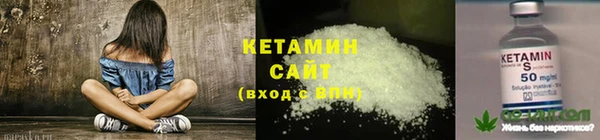 молекула духа Ладушкин