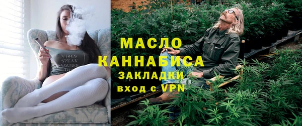 молекула духа Ладушкин