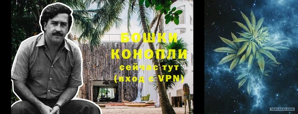 молекула духа Ладушкин