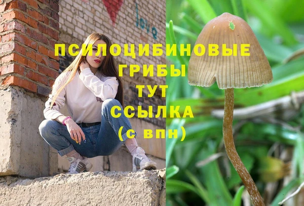 альфа пвп Мурманск