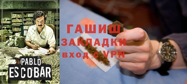 молекула духа Ладушкин