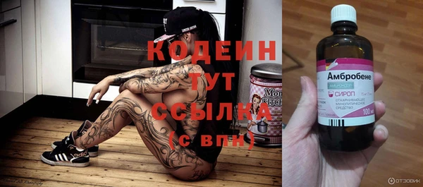 молекула духа Ладушкин